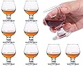 Glsairy Cute Shot Glasses Small Brandy Snifters Set of 8 | Cognac glasses | Port Glasses | Tequila Glasses(1.75 oz | 50ml)