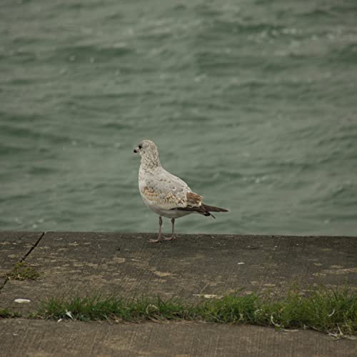 Our Top 10 Best Cab Sav Under 30 Reviews BNB