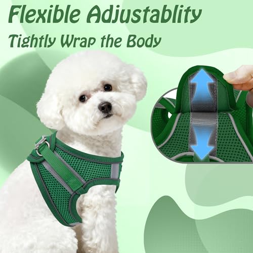 Image of AIITLE Small Harness for Puppy with A Leash - Dog Vest Harness with Super Breathable Mesh, Reflective No-Pull Pet Harness for Outdoor Walking, Running for Small Dogs, Cats Green XXS