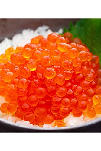 尾張まるはち いくら 醤油漬け 北海道産 冷凍 500g の商品画像 7