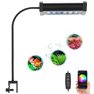Lominie Planted Aquarium Light, 2-Channel Timer Dimmer Freshwater Small Fish Tank Light 6500K with Gooseneck for Planted Refugium Nano Tank (Freshwater)