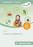 Unsere Laubbäume: (1. und 2. Klasse)