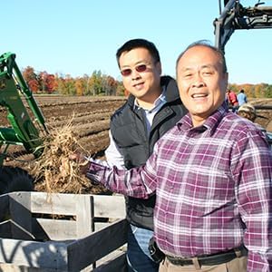 Hsu's SKU 0130-4 Half Short Extra Large Wisconsin American Ginseng Roots 4 oz Box for Tea, Soup & Gifts - Premium, Non-GMO, No Additives XL (4 oz) - Image 6