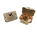 Rural365 Pulpe Oeuf cartons Bulk Lot de 20 vide Oeuf cartons – Demi Douzaine support pour œufs Egg caisses (peut contenir 6 œufs de chaque)