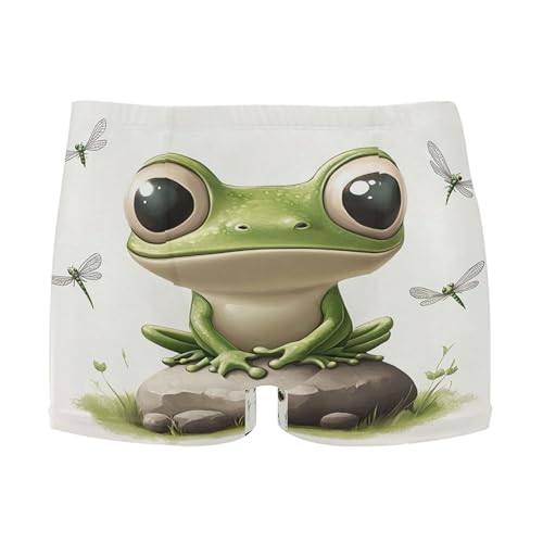 Cute Frog Green Mens Swim Trunk Swimwear Bathing Suit Swim Brief Square Leg Board Short S S0406543
