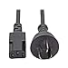 Tripp Lite P055-010-CHN1 Standard Power Cord - for Computer, Server, Printer, Workstation, Network