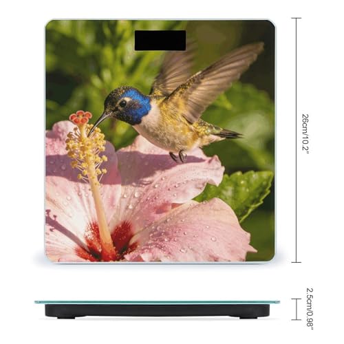 Báscula digital de baño con vidrio templado y pantalla LED miniatura 2