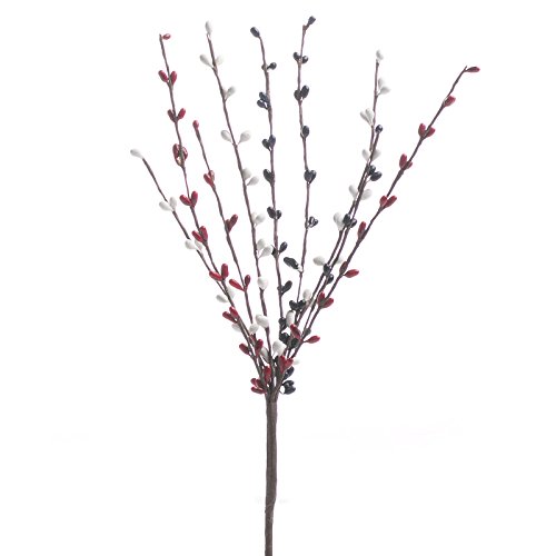 画材 berry Amazon.com: Factory Direct Craft Pack of 12 Americana Pip