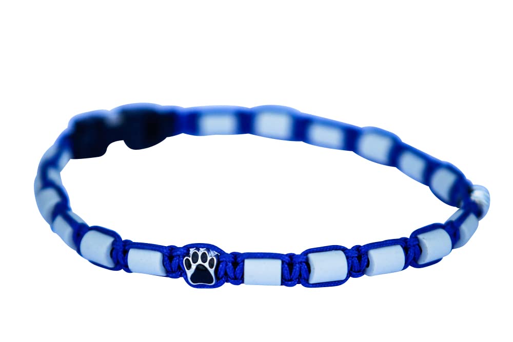 Collier paracord pour chien - céramique EM/matériau tendance - coupe sur mesure - désormais possible avec prénom - veuillez prendre en compte le descriptif !