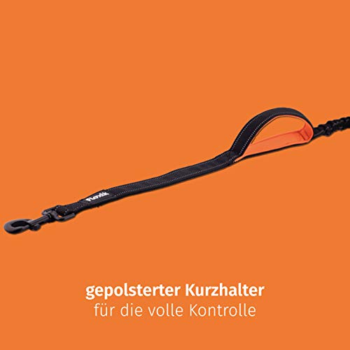 Floxik Hundeleine elastisch 150 cm | Premium Bungeeleine inkl. Kurzführer in verschiedenen Größen (1 m / 1,20 m / 1,50 m) | schwarz/orange & reflektierend
