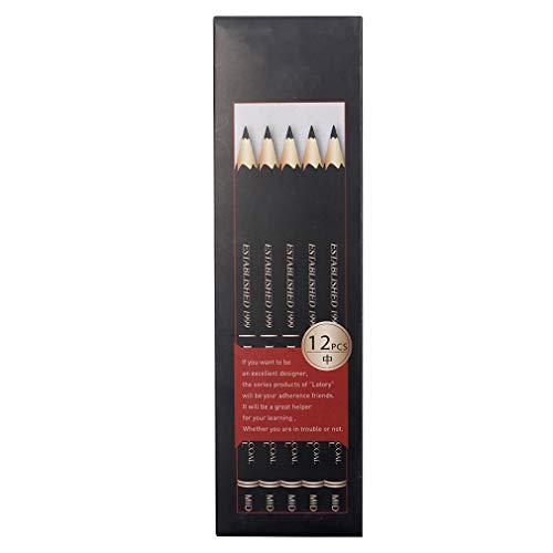 YYMIYU Black Charcoal, Charcoal Sketch Drawing Pencils, 12 Packs, Unbreakable