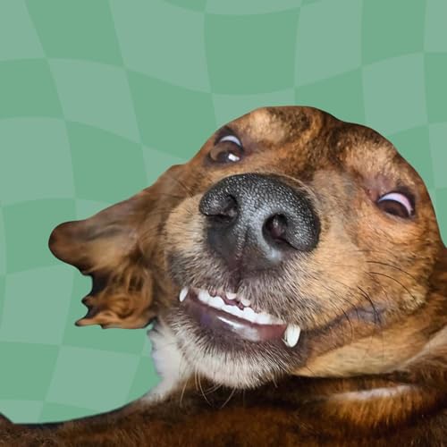 Couverture de notas da semana