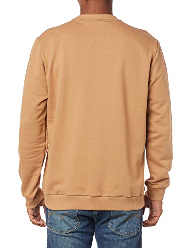 Blusa de moletom Logo Forum Masculino Bege Alpina XGG