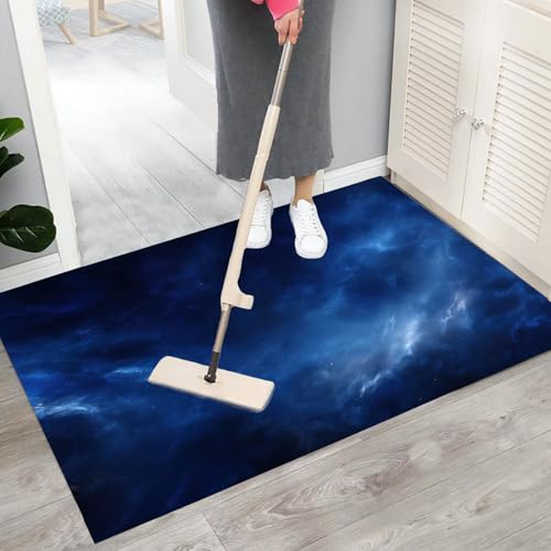 Paillasson Intérieur Grand Format Idéal pour Entrée et Chiens