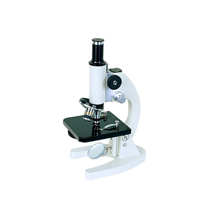 Buy BestScope BS2000A Basic Monocular Compound Microscope, 5x, 10x