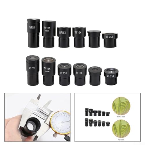 1 x Weitfeldmikroskop-Okular für biologisches Mikroskop, Weitwinkel-Okular 23,2 mm, 5–25 x Blende, Okular für Labor (WF20X)