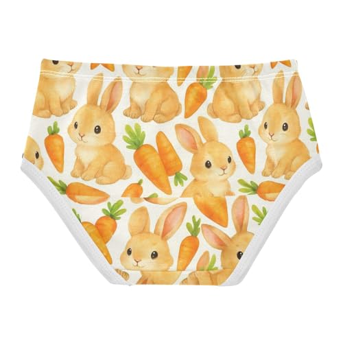 Joisal Cotton Toddlers Underwear Floral Cute Rabbits Carrots White Cute Panties Girl Bright Briefs Girls Undies 2t2