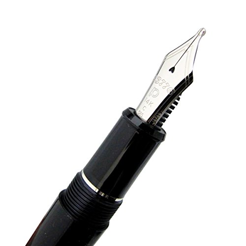 プラチナ万年筆 #3776 センチュリー M 585 プラチナ萬年筆(PLATINUM) 万年筆#3776 センチュリー ニース #5