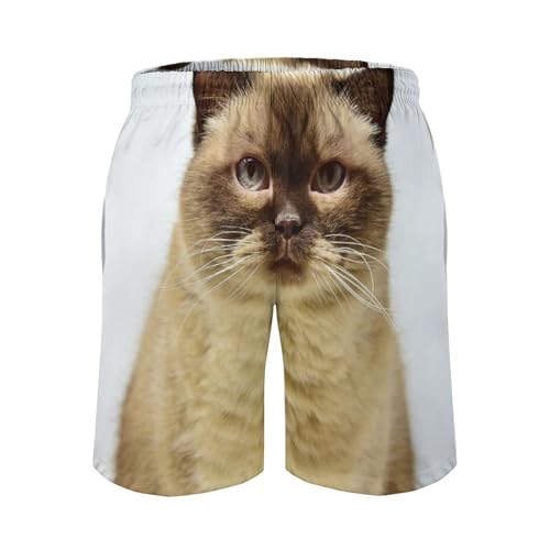 Shorts de bain homme gros chat mignon avec cordon ajustable et poches intégrées