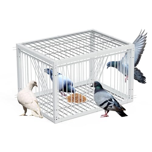 MUALROUS 43cm Piège à Pigeons de avec Conception à l’Épreuve de l’Évasion Pigeon Dove Piège à Oiseaux Cage Pliante Entrée à Sens Unique Piège de...