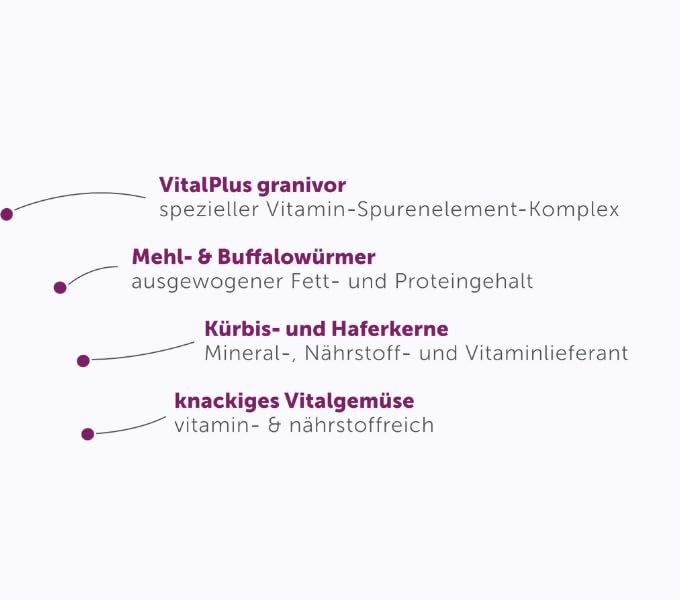 Bunny RattenTraum EXPERT | 3,2 kg | Alleinfuttermittel für Ratten | Ohne Zucker, Zusatzstoffe, Geschmacksverstärker oder Farbstoffe | Hochwertige Power-Ingredients