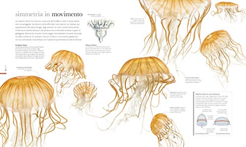 Fauna. Il Regno Animale Visto Da Vicino. Ediz. Illustrata - 4