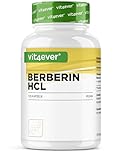 vit4ever Estratto di Berberina HCL - 120 capsule da 500 mg - Berberina naturale - Extra alto dosaggio - Di origine vegetale, vegano e senza additivi inutili