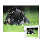 ❤❤Arts décoratifs : le puzzle de 500 pièces est un puzzle vibrant et coloré. L'impression haute définition donne au puzzle des motifs clairs et des couleurs vives. Le puzzle fini présente de belles illustrations pour que vous puissiez l'encadrer et l'accrocher au mur pour décorer votre maison, rendre votre maison plus belle et plus chaleureuse !