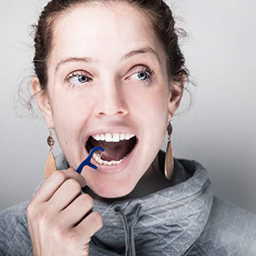 450 Disposable Floss Picks: The World's Most Convenient Floss Picks, Individually Wrapped In 4 Colors #TOP5