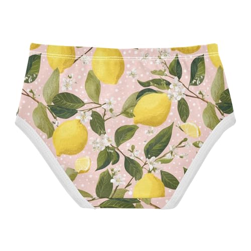 Wusikd Lemons Branches Girls' Underwear Cotton Flowers Girls Briefs Soft Toddler Underwear 2T2