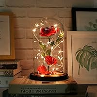 Algopix Similar Product 16 - URBANSEASONS Mothers Day Rose Gifts for