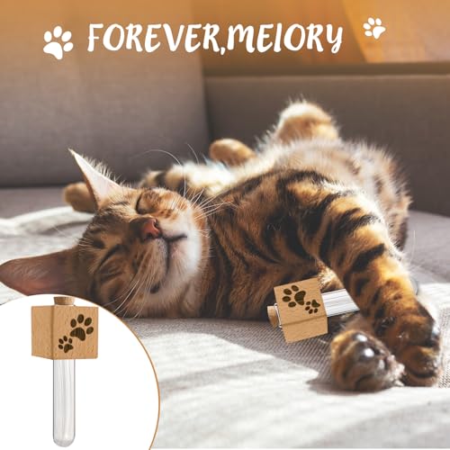 Imán decorativo para refrigerador con diseño de vaso para bigotes de gato miniatura 6