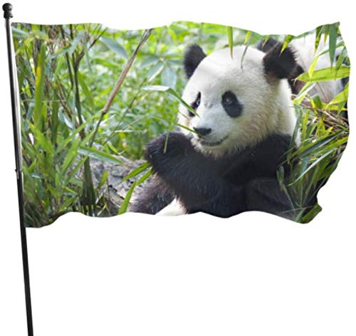Hungry Giant Panda Bear Eating Bamboo Decorative Flag 3x5 Customized Yard Flags 3x5 Feet Vibrant Colors Quality Polyester and Brass Grommets
