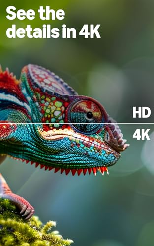 Amazon Ember 50" 4-Series with Fire TV (newest model), 4K Ultra HD smart TV with Alexa Remote, HDR10+, fast processor, Dolby Audio, Ambient Experience, free and live TV, find shows faster with Alexa+ - Image 8