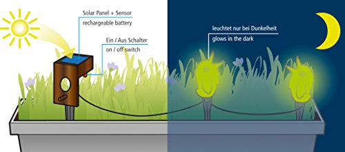 Scheurich Bordy Starlight 3 Pezzi: Starlight Verde...