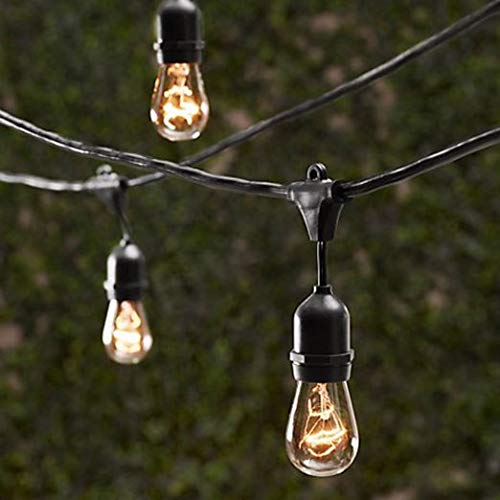 Luces de cadena exterior 50 pies con 25 sockets colgantes miniatura 2