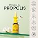 Beekeeper's Naturals Nasal Spray for Adults with Propolis, Xylitol & Saline, Clears Nasal Congestion, Moisturizes Sinus Canal, & Decongest Sinus Cavities, 1 fl oz