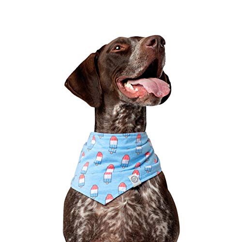 Canada Pooch | Dog Bandana (L/XL, Rocket Popsicles)