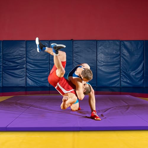 image for BalanceFrom 10x4 Feet 4-Panel Folding Gymnastics Mat – 2-Inch Thick 