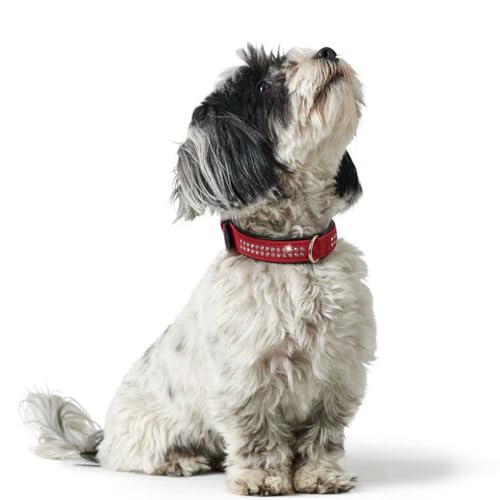 HUNTER SOFTIE DELUXE Hundehalsband, Kunstleder, glitzernde Strasssteine, 40 (XS-S), rot