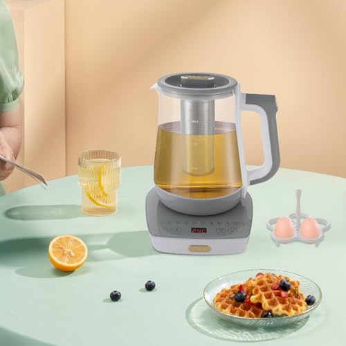 Hervidor eléctrico de vidrio con control digital y filtro de té miniatura 7