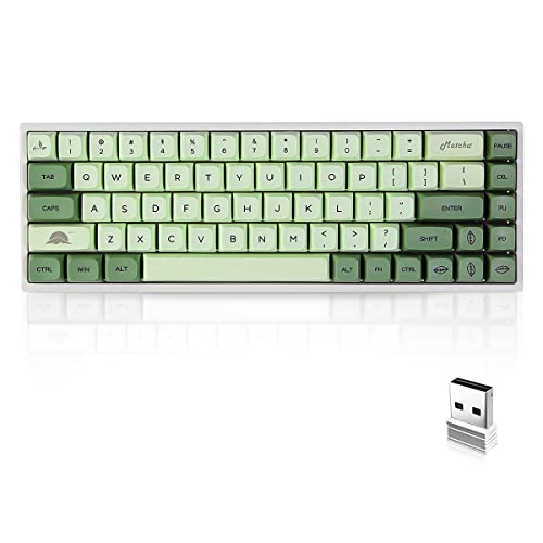 BOYI WK68 Hot Swappable RGB Mechanical Keyboard,Wireless Bluetooth 5.0/2.4G/Wired Type-C Tri-Mode PBT Sublimation Keycaps 65% Gaming Keyboard(Gateron Yellow Switch, Matcha XDA Keycaps)