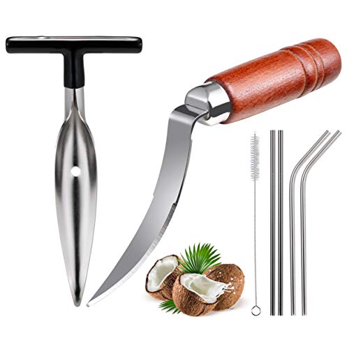 Coconut Opener Tools, Set of Stainless Steel Coconut Puncher with Straws, Brush, Coconut Meat Remover with Wood Handle, For Green & Young Coconut