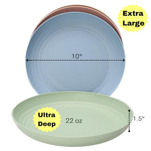 Rcelite Unbreakable Dinner Plates Set - 4 10'' Wheat Straw Dishwasher & Microwave Safe Plates - Lightweight & Unbreakable Plates For Kitchen, Camping, Dorm Rooms, Kids, Salads, Pastas, Snacks #TOP1
