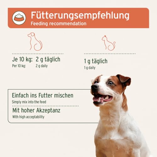 AniForte Hagebuttenpulver für Hunde & Katzen 500g – 100% Hagebutten, reich an Vitamin C, zur Unterstützung des Immunsystems
