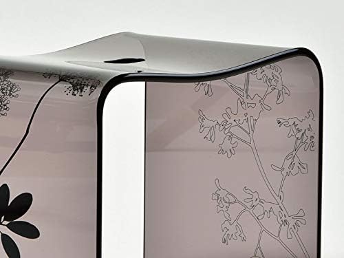 お得◎新品　サリナ　アクリル　バスチェア　Mサイズ　ウォッシュボール　2点 salina2 サリナ2 バスチェアM ウォッシュボール 2点セット