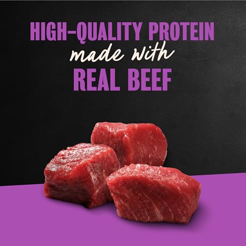 Image of Cesar Filets in Gravy Wet Dog Food, Filet Mignon Flavor, 3.5 oz, 24 Count | Real beef, easy to digest, no fillers, no added sugar, no artificial flavors, slow-cooked tender texture, easy peel trays