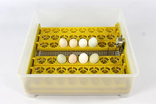 Inkubator VOLLAUTOMATISCH BK48Pro + Zubehör, Neue Generation, 48 Eier, Brutautomat, Brutmaschine – Bild 7