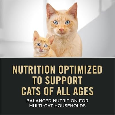 Purina Pro Plan High Protein Wet Cat Food Pate All Life Stages Classic Entree Variety Pack