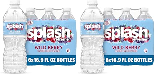 Image of Splash Blast Refresher Wild Berry | 16.9 Fl Oz | Plastic Bottle | Pack of 12